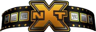 Best WWE Title - 1